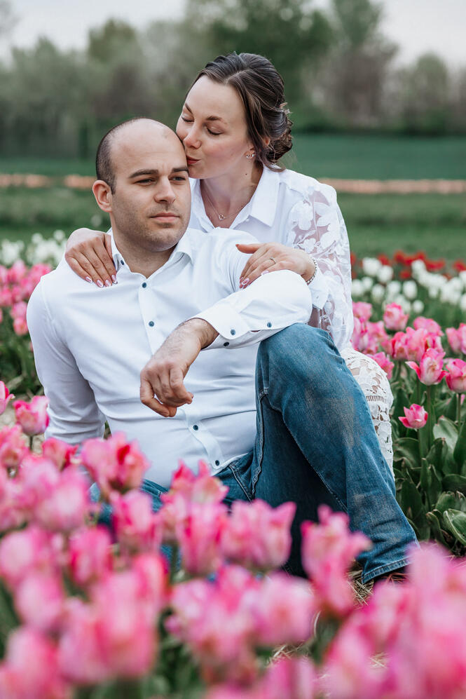 Szabadtéri páros fotózás tulipánok közt Győr közelében Szerelmes pár a tulipánok közt