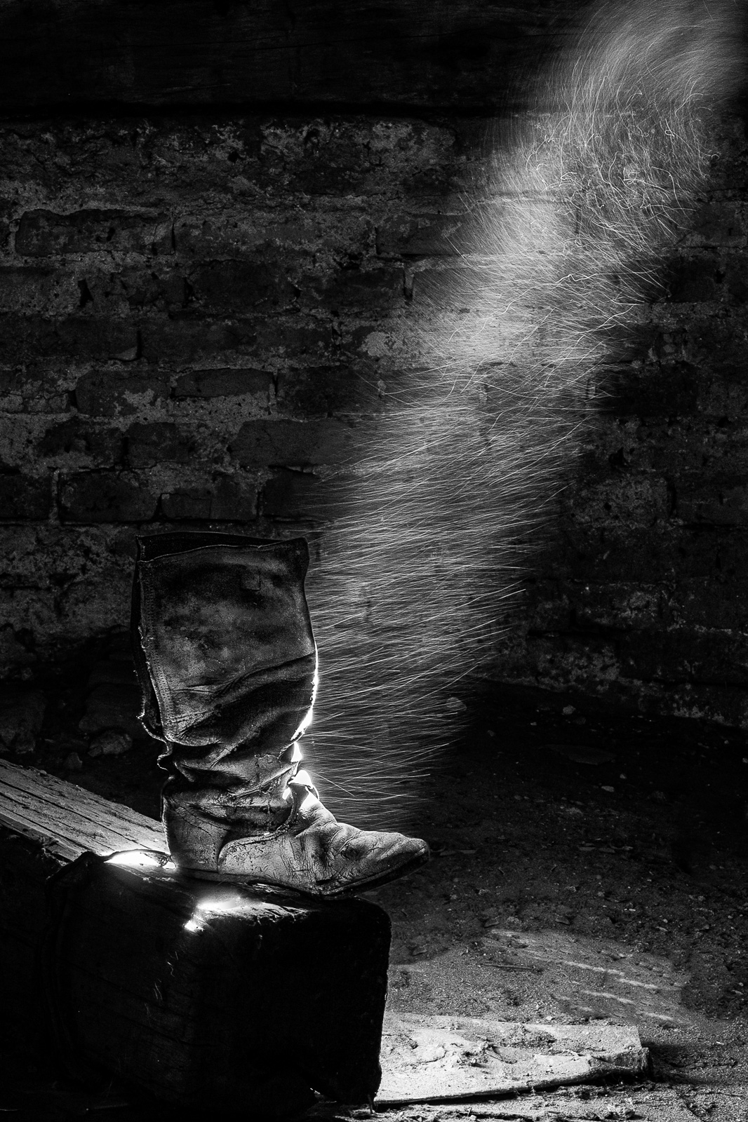 Vászonkép rendelés