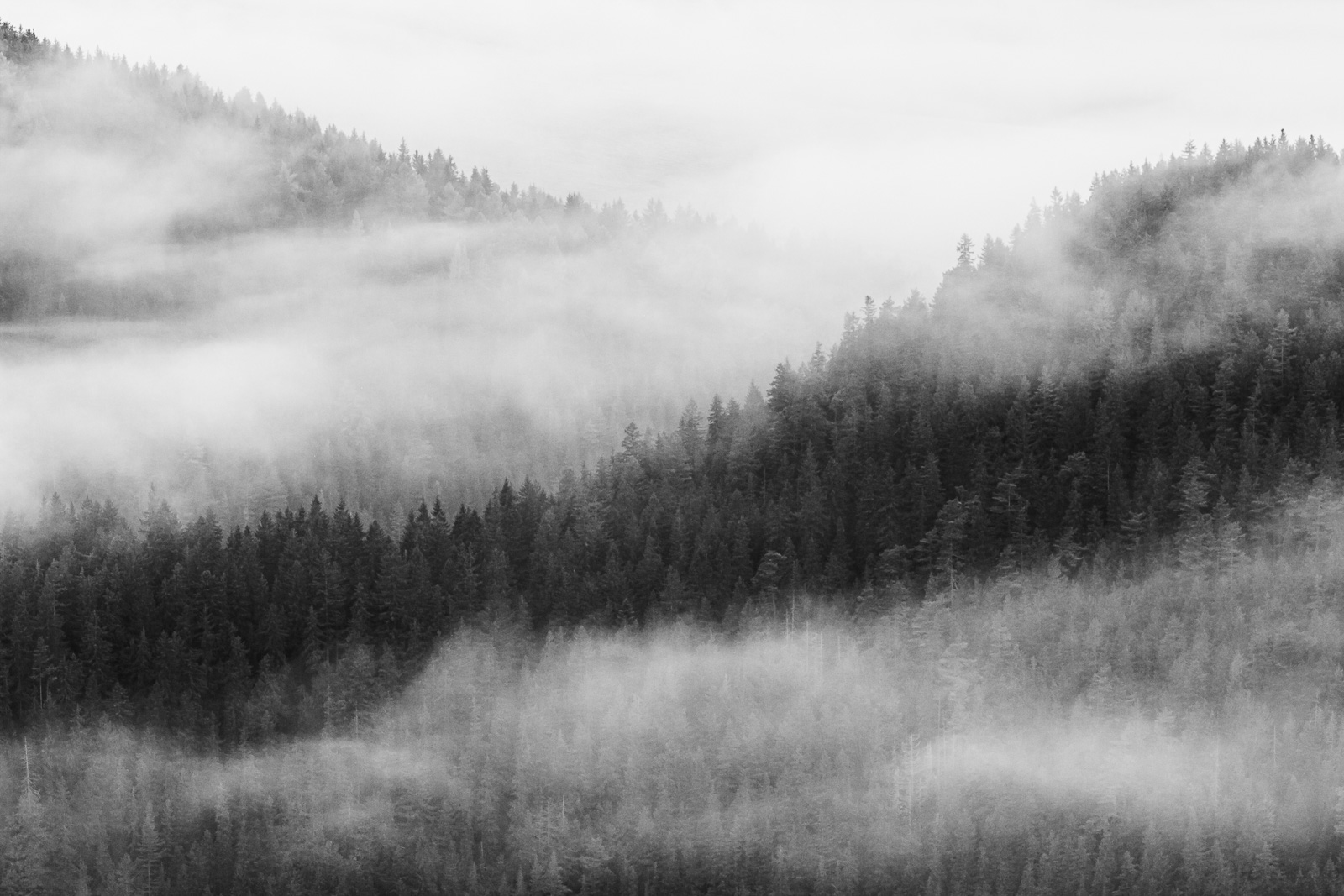 Vászonkép rendelés